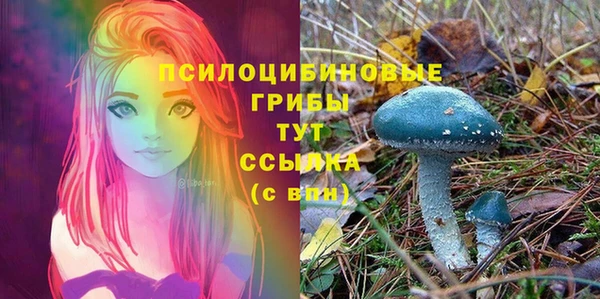 марки nbome Аркадак