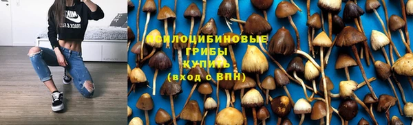марки nbome Аркадак