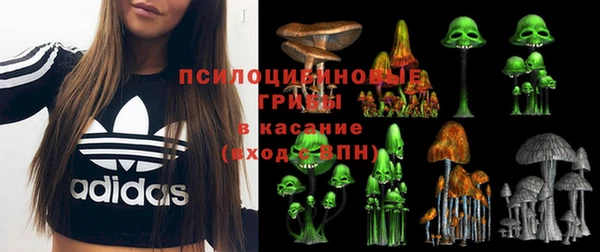 метадон Арсеньев